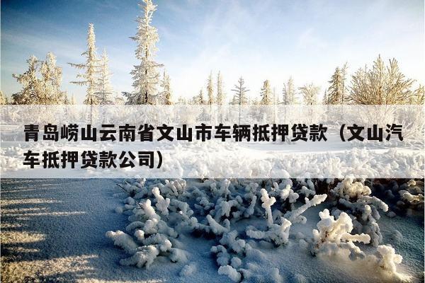 蘇州金山汽車抵押融資(涉土地違規抵押融資)? (http://www.ox-shoes.com/) 知識問答 第1張