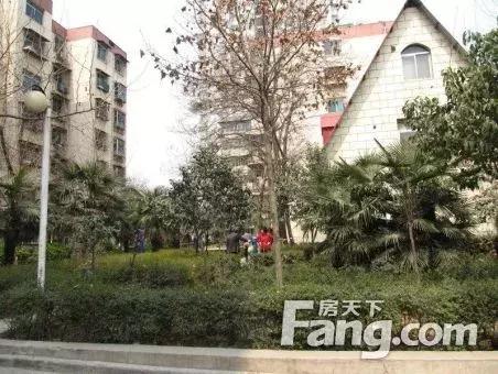 車輛抵押融資哪個平臺好(土地違規抵押融資)? (http://www.ox-shoes.com/) 知識問答 第2張