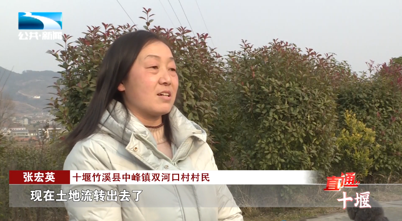 汽車抵押融資哪里好(車輛抵押融資)? (http://www.ox-shoes.com/) 知識問答 第11張