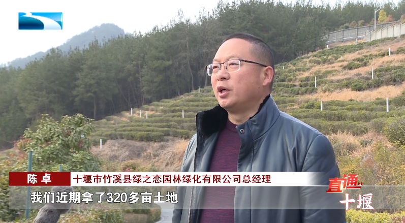 汽車抵押融資哪里好(車輛抵押融資)? (http://www.ox-shoes.com/) 知識問答 第14張