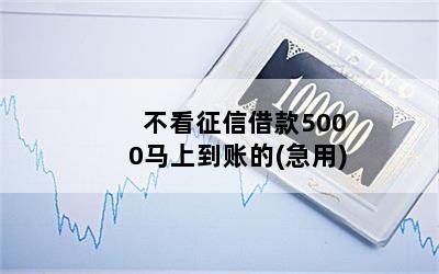 不看征信借款5000馬上到賬的(征信花了借5000)? (http://www.ox-shoes.com/) 知識問答 第1張