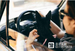 車子抵押借錢(抵押車子借錢合同)? (http://www.ox-shoes.com/) 知識問答 第5張