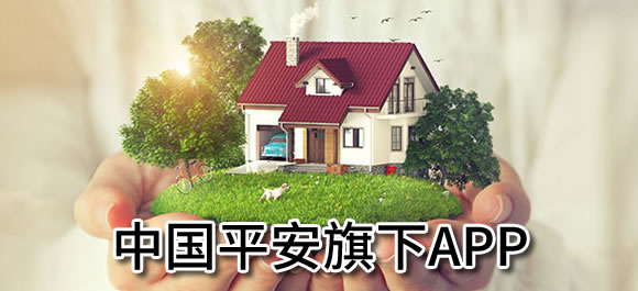 平安車主貸app(平安車主貸8萬48期還多少錢)? (http://www.ox-shoes.com/) 知識問答 第1張