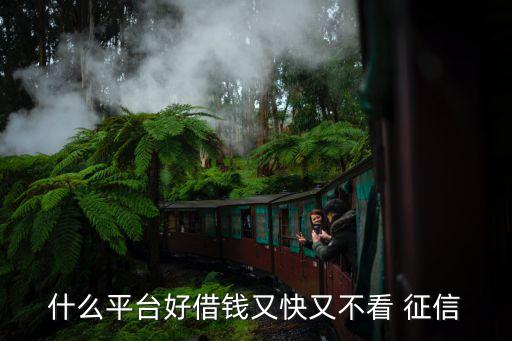 不查征信的網貸(網貸征信查多了多久能恢復)? (http://www.ox-shoes.com/) 知識問答 第1張