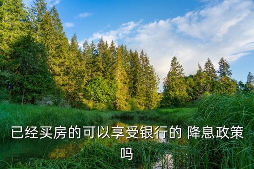 上海車貸利率一般是多少(上海車貸幾年)? (http://www.ox-shoes.com/) 知識問答 第1張