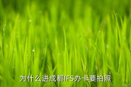 行駛證不是我的名字可以貸款嗎(車貸行駛證名字不是自己的)? (http://www.ox-shoes.com/) 知識問答 第2張