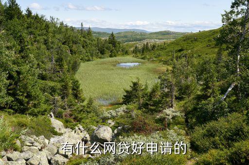 正規網絡貸款平臺哪個靠譜好申請(貸款正規的平臺)? (http://www.ox-shoes.com/) 知識問答 第2張