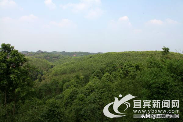 宜賓汽車抵押貸款(宜賓抵押車價格)? (http://www.ox-shoes.com/) 知識問答 第3張