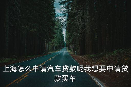 上海車牌貸款怎樣申請(上海車牌貸款申請了能取消嗎)? (http://www.ox-shoes.com/) 知識問答 第1張