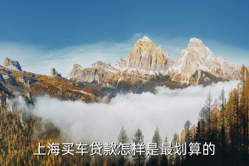 上海車牌貸款怎樣申請(上海車牌貸款申請了能取消嗎)? (http://www.ox-shoes.com/) 知識問答 第2張