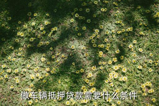 公司車抵押(抵押車公司戶好還是個人戶好)? (http://www.ox-shoes.com/) 知識問答 第1張