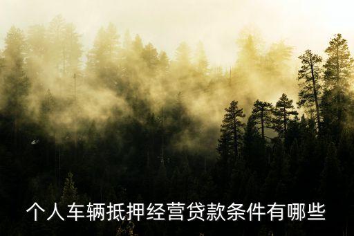 公司車抵押(抵押車公司戶好還是個人戶好)? (http://www.ox-shoes.com/) 知識問答 第2張
