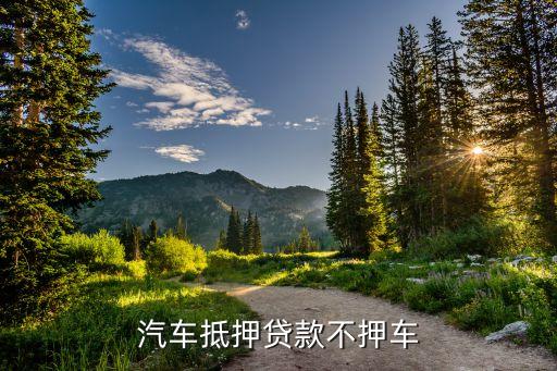 車輛抵押貸款哪個平臺利息最低(專業汽車抵押貸款利息低)? (http://www.ox-shoes.com/) 知識問答 第1張