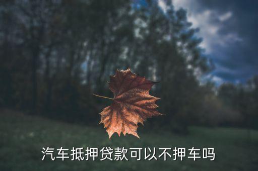 車輛抵押貸款哪個平臺利息最低(專業汽車抵押貸款利息低)? (http://www.ox-shoes.com/) 知識問答 第2張