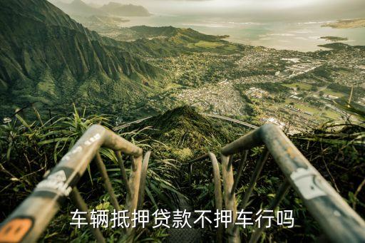 車輛抵押貸款哪個平臺利息最低(專業汽車抵押貸款利息低)? (http://www.ox-shoes.com/) 知識問答 第3張