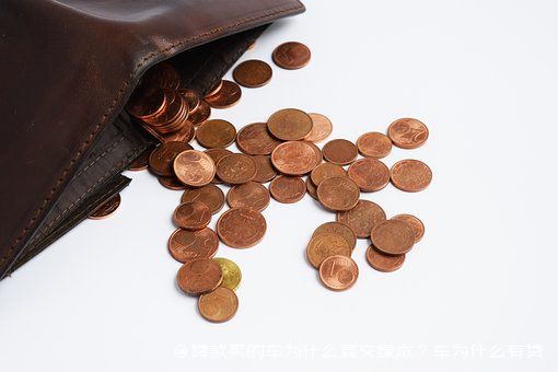 拿車的綠本怎么貸款(貸款車綠本拿到手了該怎么辦)? (http://www.ox-shoes.com/) 知識問答 第1張