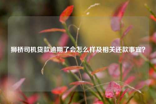 獅橋車抵貸(獅橋車抵貸利率是多少)？ (http://www.ox-shoes.com/) 知識問答 第1張