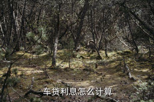 車抵貸哪家銀行利息低(低利息抵押貸款)？ (http://www.ox-shoes.com/) 知識問答 第1張
