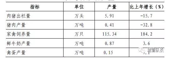 上海私家車抵押(上海抵押車私人抵押)？ (http://www.ox-shoes.com/) 知識問答 第2張