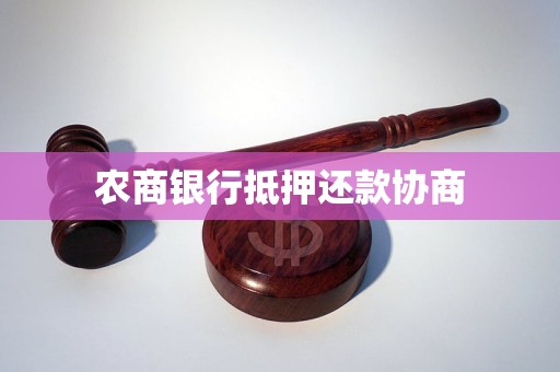農(nóng)商銀行汽車抵押貸(農(nóng)商銀行用車抵押貸款怎么貸)？ (http://www.ox-shoes.com/) 知識問答 第1張