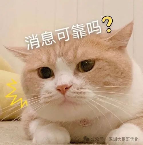 車輛抵押貸款必須要綠本嗎(抵押車子綠本也要看征信嗎)？ (http://www.ox-shoes.com/) 知識問答 第2張