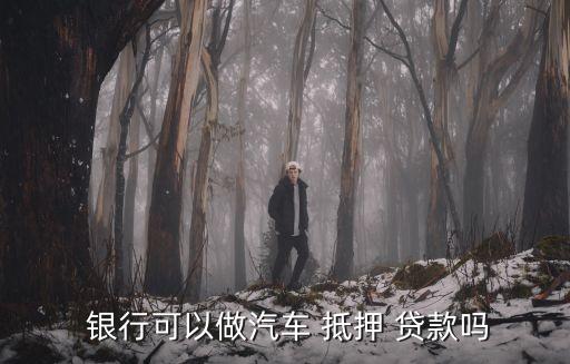 車抵押貸額度(抵押車貸款金額)？ (http://www.ox-shoes.com/) 知識問答 第3張