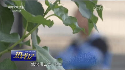 車輛抵押貸款套路(抵押車套路貸怎么報案)？ (http://www.ox-shoes.com/) 知識問答 第4張