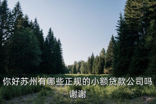 蘇州無抵押信用貸款(蘇州正規(guī)貸款企業(yè))？ (http://www.ox-shoes.com/) 知識(shí)問答 第1張